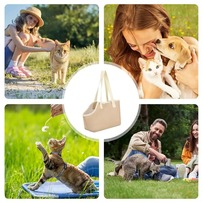 التجزئة الكلب الصدر الناقل الم - مراجعة Foldable Backpack Small وسعره