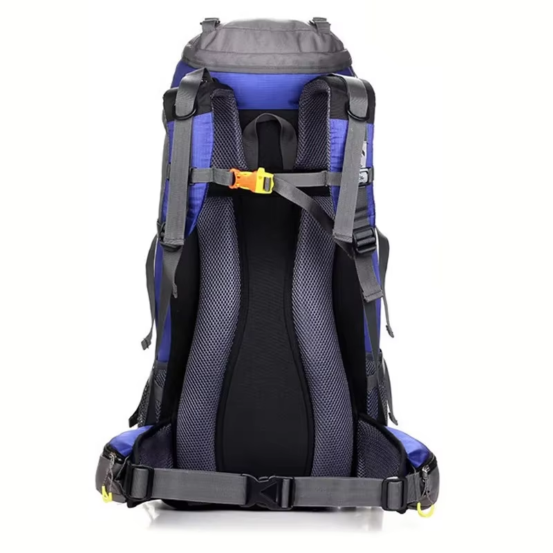 حقيبة ظهر رياضية خارجية مقاومة - مراجعة Rain Cover Backpack وسعره